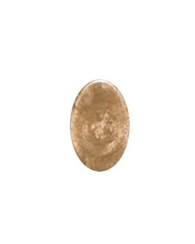 iBi Nail Lacquer – Brass | 10ml