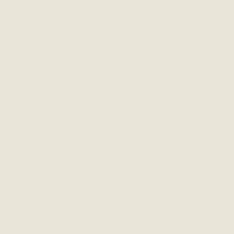 Flormar Classic Nail Enamel® - 319 White Dance New