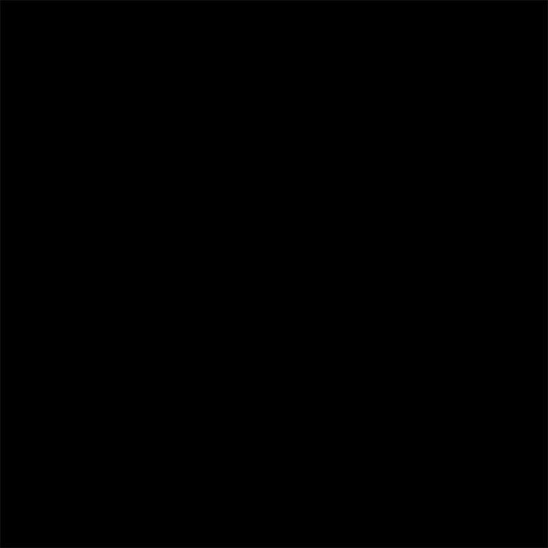 Flormar Glitter Nail Enamel - GL36 Black Star New