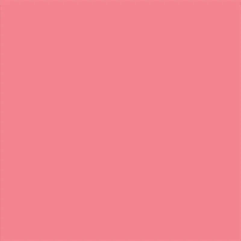 Flormar Dewy Lip Booster - 10 Pink Luster