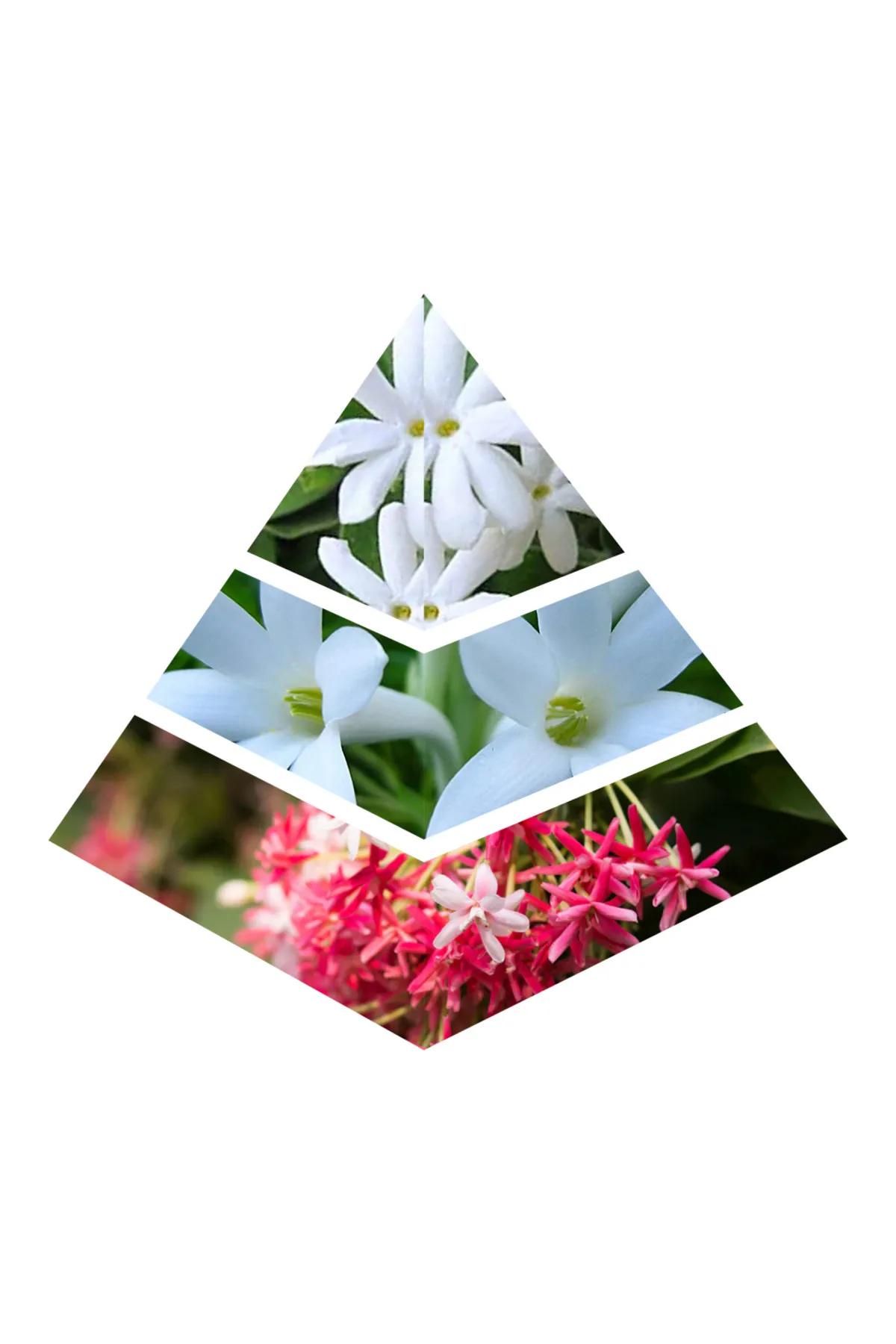 Character Florescence Eua De Parfum