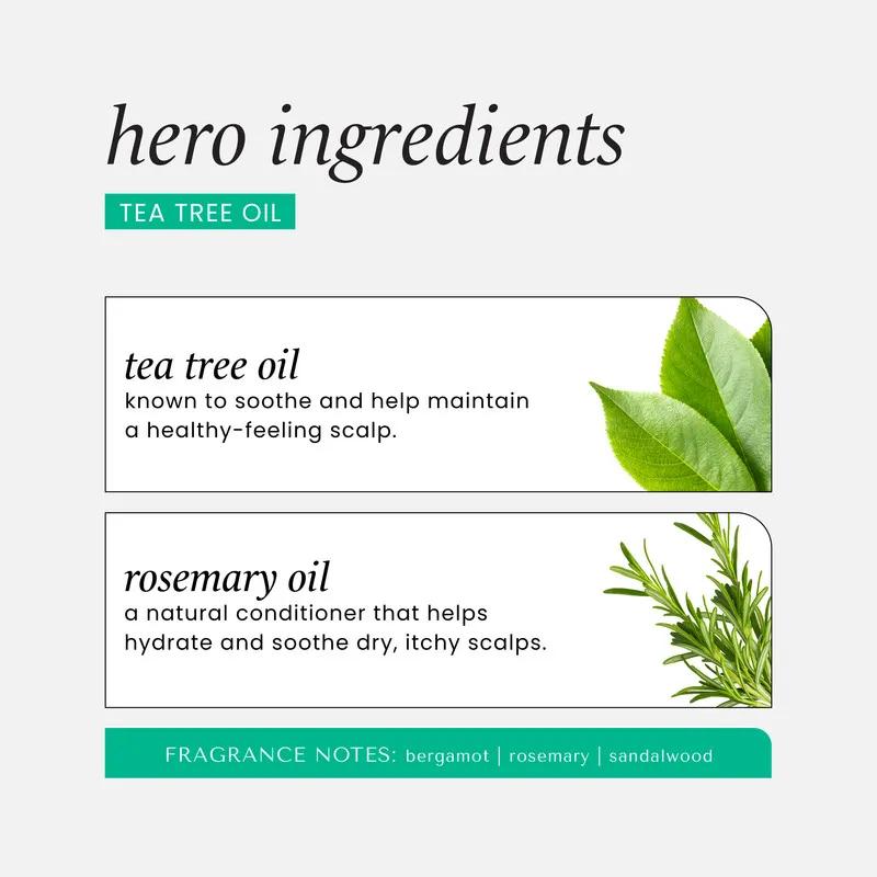 Hask Tea Tree Hair & Scalp Treatment Mask 50g