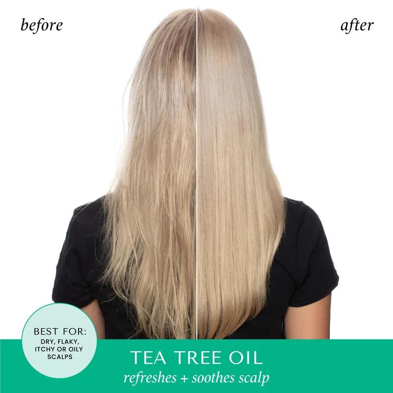 Hask Tea Tree Hair & Scalp Treatment Mask 50g