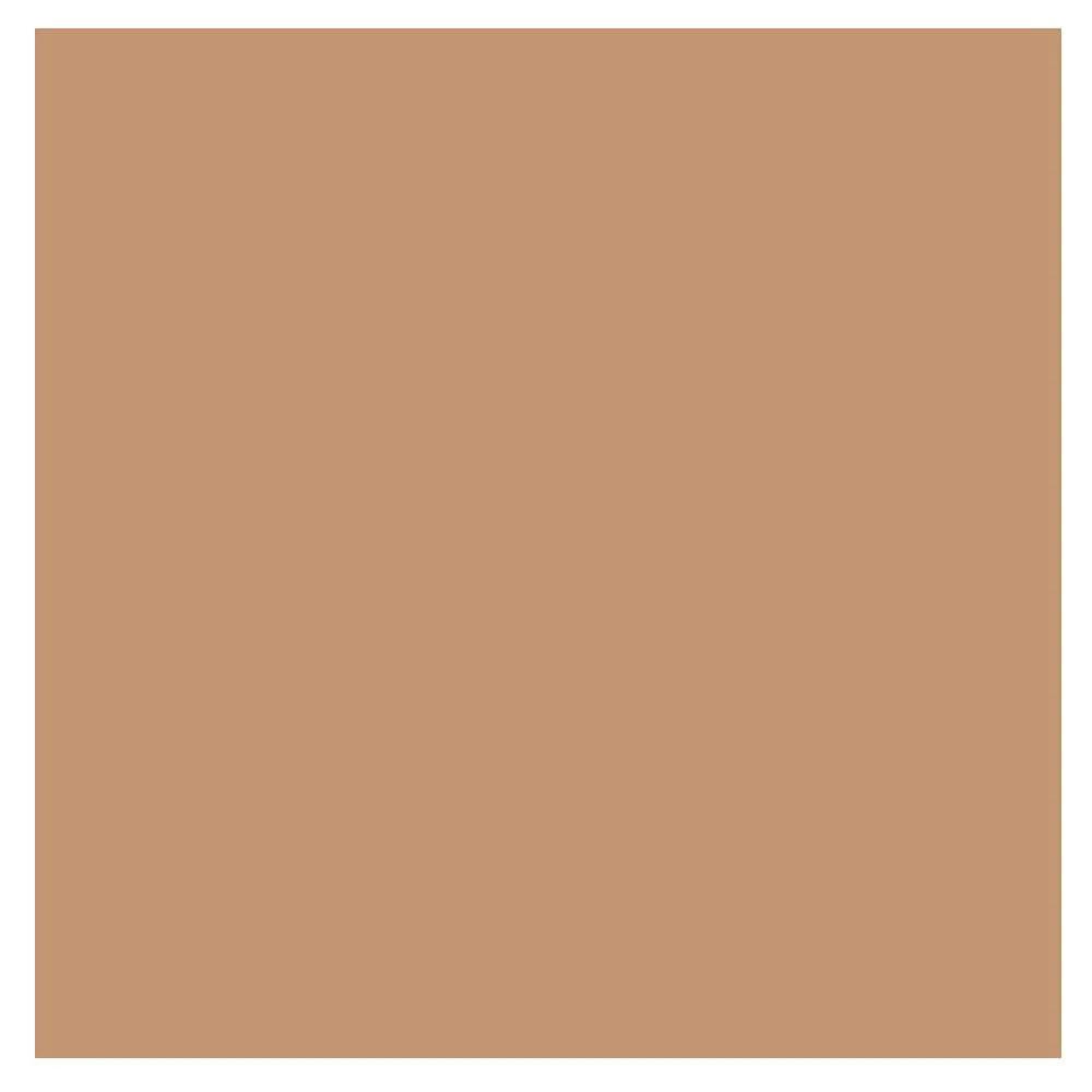 Dermacol Noblesse Fusion Make Up Skin Foundation Concealer (Tan)