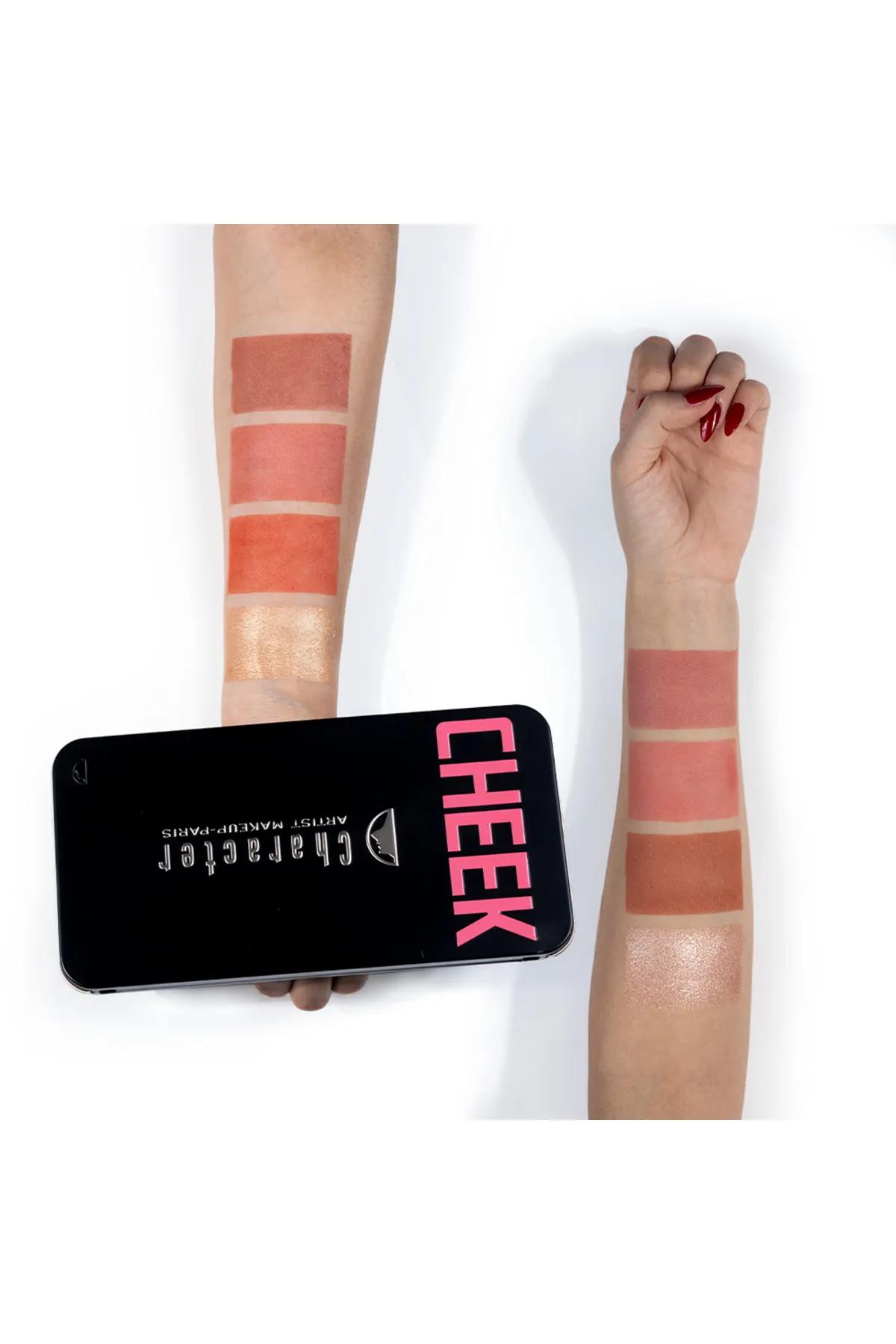 Pro Highlighter & Blush Palette-C-A201