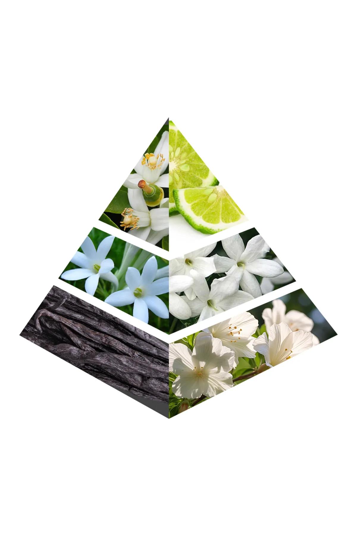 Character Magical Way Eua De Parfum