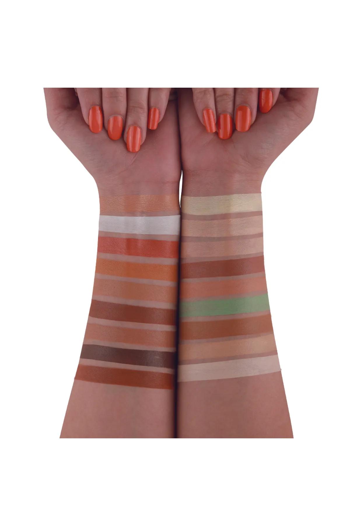 Pro Artist Multitasker Corrector Palette