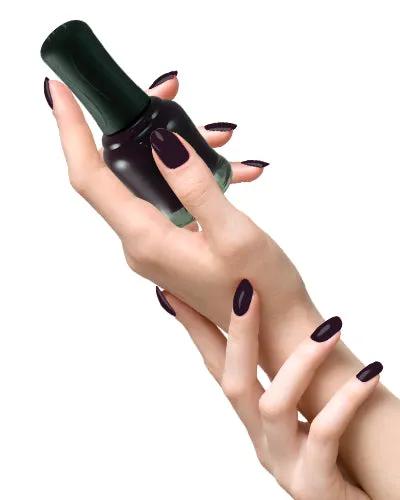 iBi Nail Lacquer – Siberian Night | 10ml