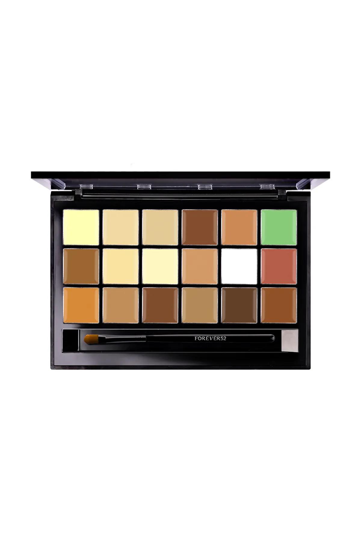 Pro Artist Multitasker Corrector Palette