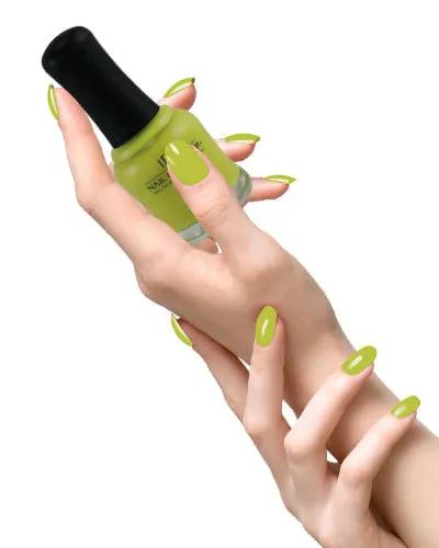 iBi Nail Lacquer – Cactus | 10ml